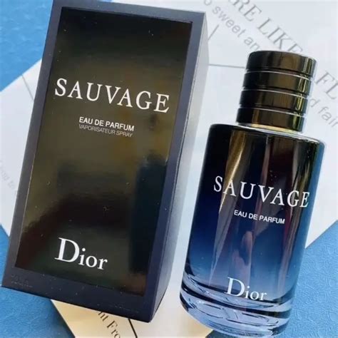 sauvage christian dior notes|what does Dior Sauvage smell like.